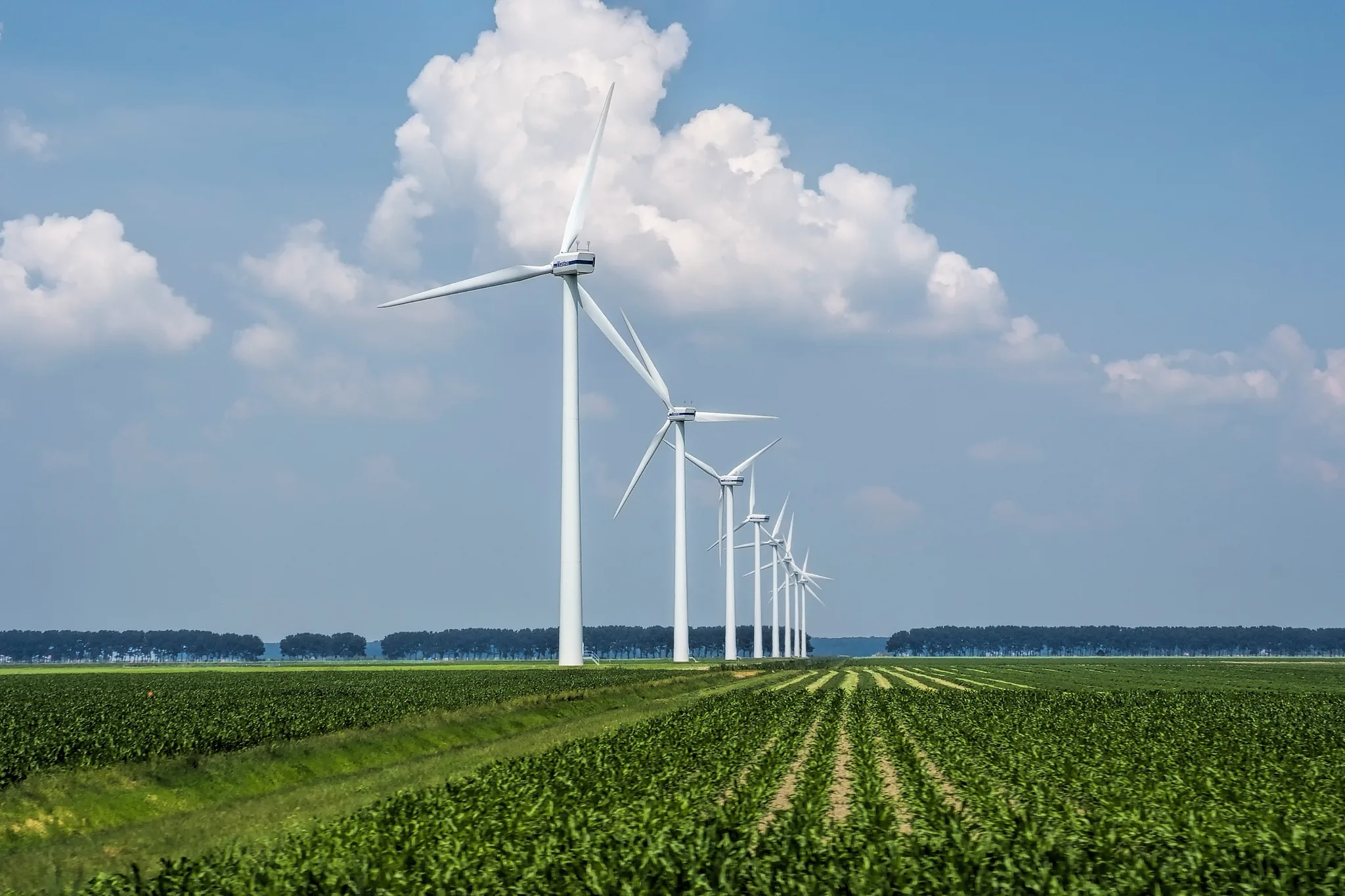 Wind, Hydropower & Biomass