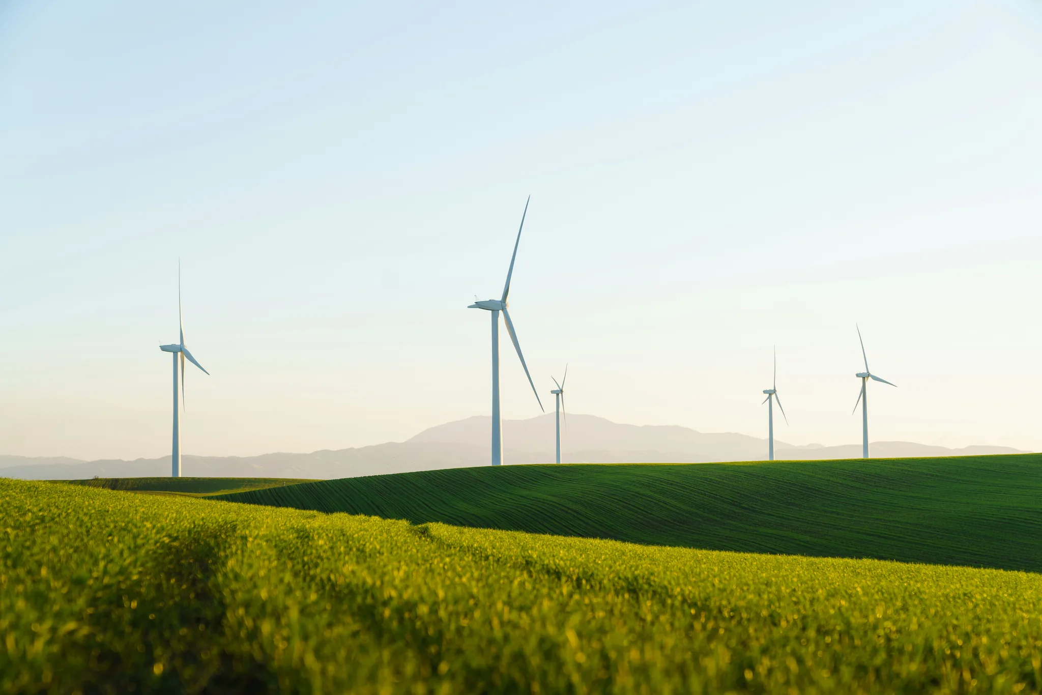 Wind turbines in field